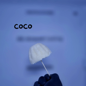 Helado de Coco